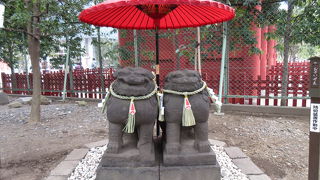 珍しい狛犬です