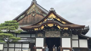 見どころが多い