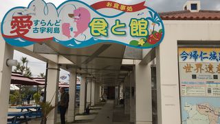 海ぶどうが安い