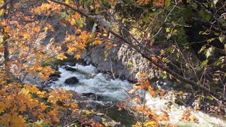 春夏秋冬の景色を楽しめる錦仙峡を擁する川