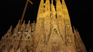 朝か夕方がねらい目