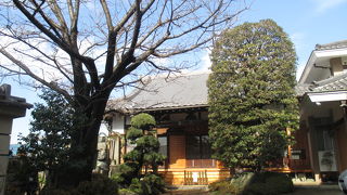 ここには福禄寿岩も納まっています。