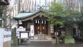 境内は各家庭のお雑煮の写真に溢れていました。