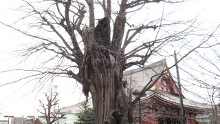 浅草寺のパワースポットかも