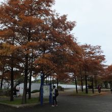 南公園駅前