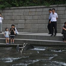 飛来したサギの様子を撮影するひとたち