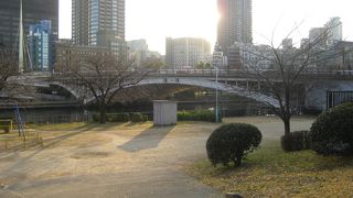 大川北岸沿いの木々豊かな公園
