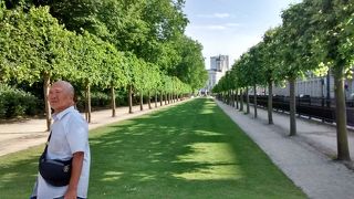 草木も芝生もたいへん手入れが行き届いていて、フランス風庭園がすごく素晴らしかったです