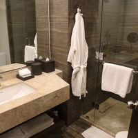 湯船はなく、シャワーのみでした。