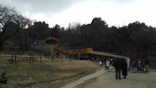 名古屋でも広大な公園