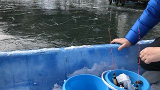 木崎湖POW WOW キャンプ場＆アウトドアクラブ