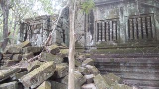 緑に同化しつつある遺跡