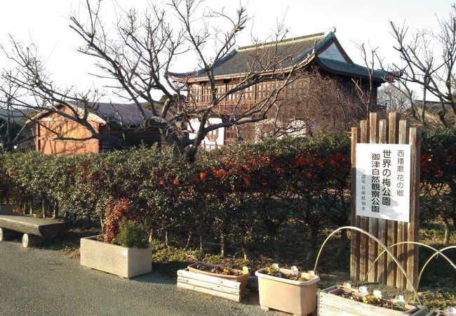 世界の梅公園 クチコミ アクセス 営業時間 たつの 揖保川 御津 フォートラベル 世界の梅公園 クチコミ アクセス 営業時間 たつの 揖保川 御津 フォートラベル