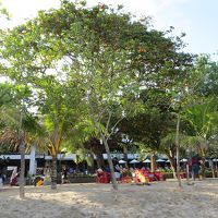 ビーチからのホテル（木の向こうがホテル）