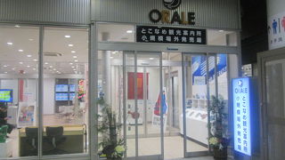 空港の１階にある案内所では、”6色の招き猫”が可愛らしいです。