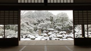美しい「雪の庭」の雪景色