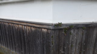 散策にちょうどよい