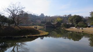 彦根城も見えました