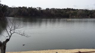 親子連れにピッタリ！