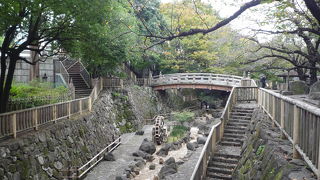 ここに来るなら桜の季節