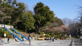 遊歩道プラスαといった感じでしょうか