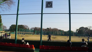 目白の環境の良さを改めて認識