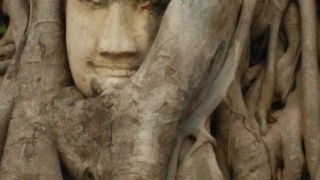 アユタヤの代表的な寺院