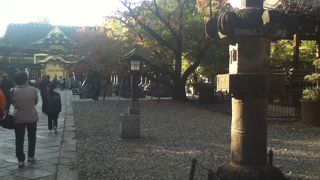 参道横に沢山並んでいる