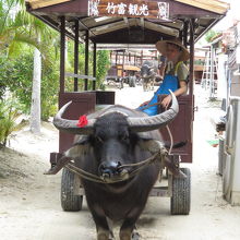 水牛車