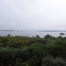 曇っているとイマイチ