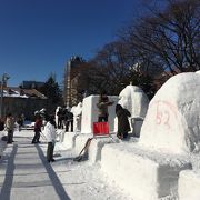 なまら寒いけど市民雪像、絶賛製作中！