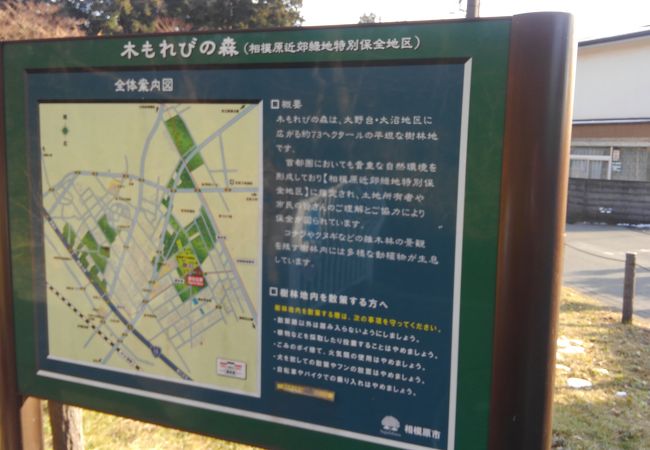 相模原の真ん中にある大きい森