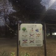 菖蒲田のある公園
