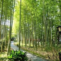 竹林の小径(修禅寺温泉街)へは車で20分程。