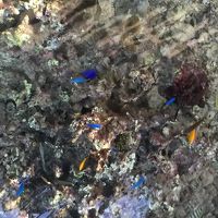 部屋のガラスの床から下をのぞくと…