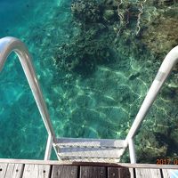 コテージから直接海へ！