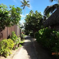 リゾート内を散策