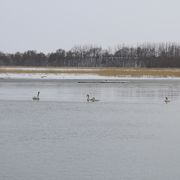 大小7つの湖沼群を有する国定公園