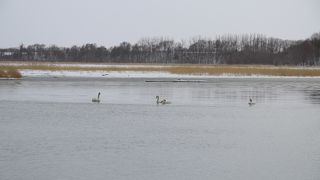 大小7つの湖沼群を有する国定公園