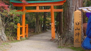 中尊寺の鎮守です