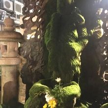 苔で覆われて緑色でした。