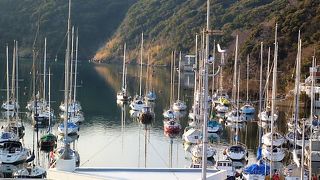 油壷ヨットハーバー 