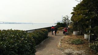 都会の秘境、ここも横浜　海芝公園