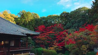 紅葉の時期でも人が少なく、穴場の紅葉スポットだと思います!