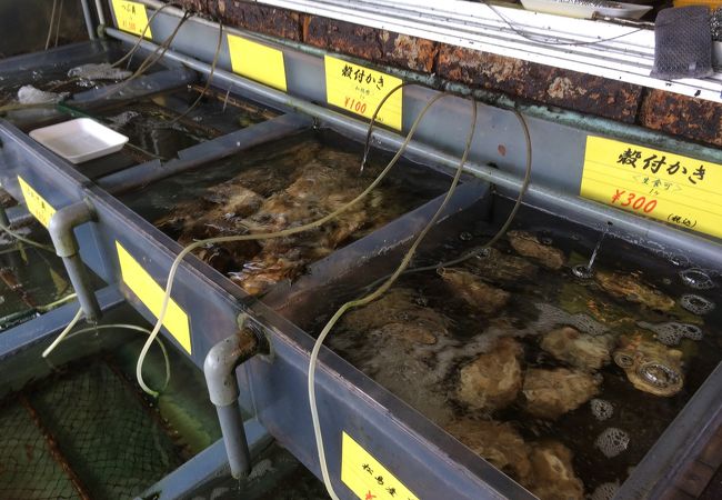 イメージ通りの海鮮が食べれる食堂です