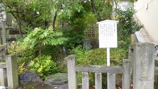 案内書きが出ていますが、井戸というより水洗い場のような感じがしました。