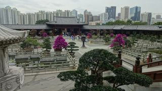 大勢のお坊さんが読経してました。