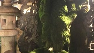 苔に覆われた不動明王。