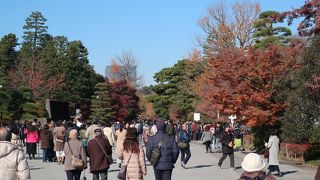 通り抜け一般公開