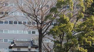 少しだけ面影が・・・